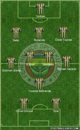 Fenerbahçe SK Formation 2013