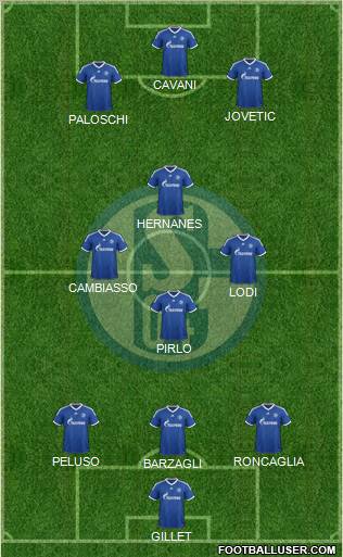 FC Schalke 04 Formation 2013