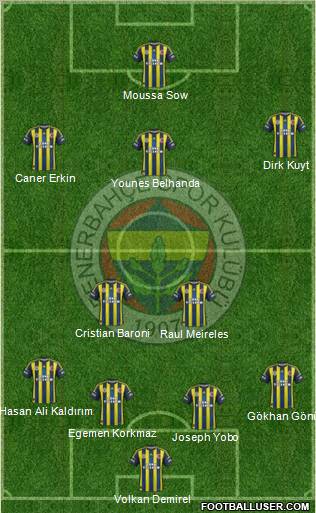 Fenerbahçe SK Formation 2013