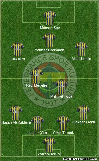 Fenerbahçe SK Formation 2013