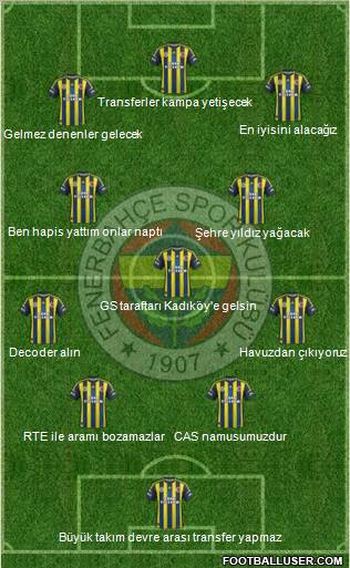 Fenerbahçe SK Formation 2013