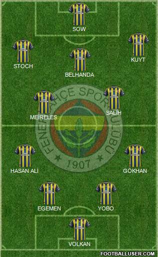 Fenerbahçe SK Formation 2013