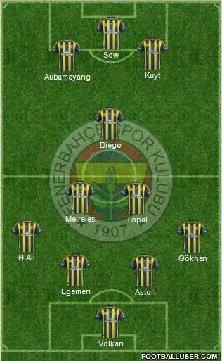 Fenerbahçe SK Formation 2013
