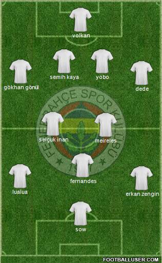 Fenerbahçe SK Formation 2013
