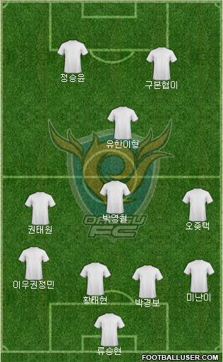 Daegu FC Formation 2013