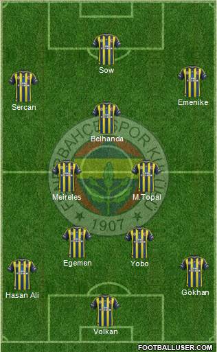Fenerbahçe SK Formation 2013
