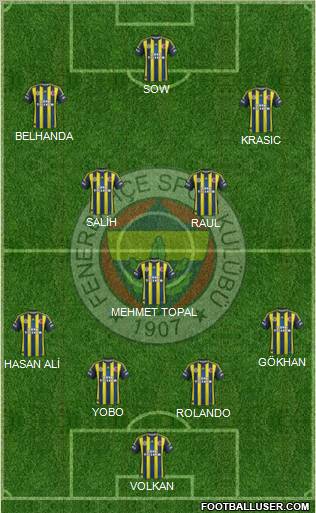 Fenerbahçe SK Formation 2013
