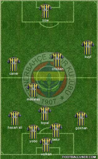 Fenerbahçe SK Formation 2013