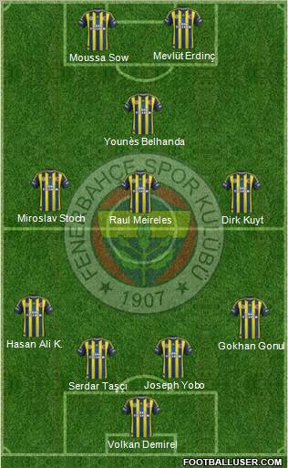 Fenerbahçe SK Formation 2013