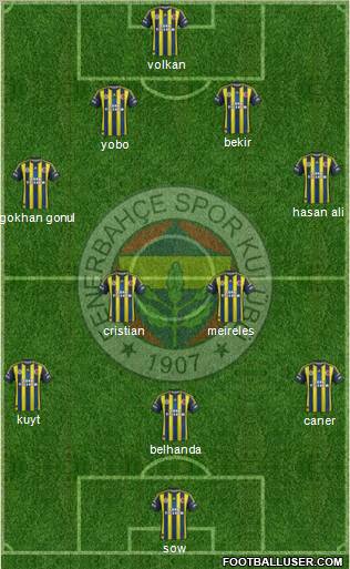 Fenerbahçe SK Formation 2013