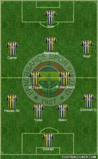 Fenerbahçe SK Formation 2013