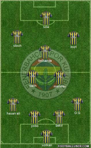 Fenerbahçe SK Formation 2013