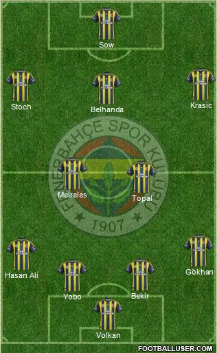 Fenerbahçe SK Formation 2013