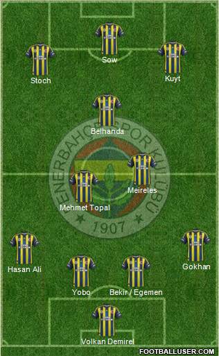 Fenerbahçe SK Formation 2013