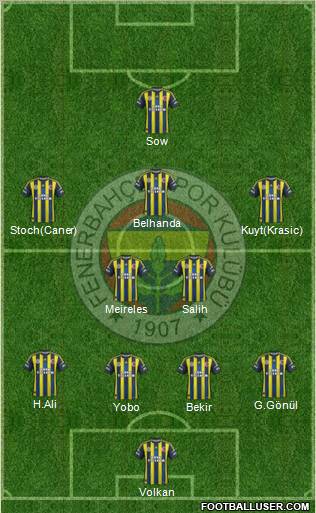 Fenerbahçe SK Formation 2013
