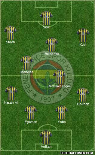 Fenerbahçe SK Formation 2013