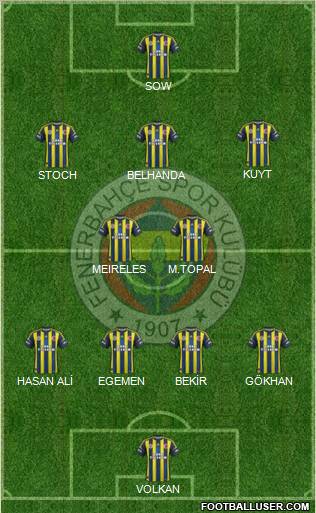 Fenerbahçe SK Formation 2013