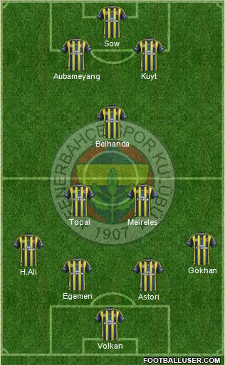 Fenerbahçe SK Formation 2013