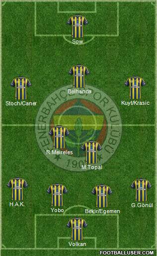 Fenerbahçe SK Formation 2013