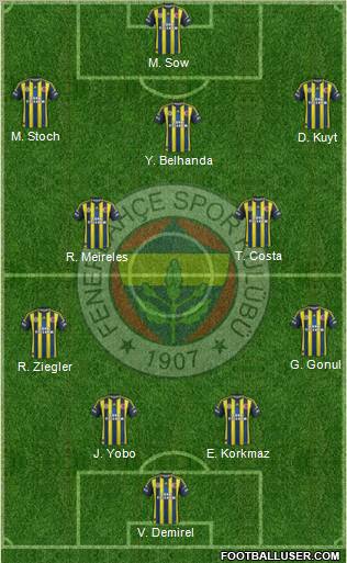 Fenerbahçe SK Formation 2013