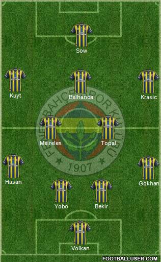 Fenerbahçe SK Formation 2013