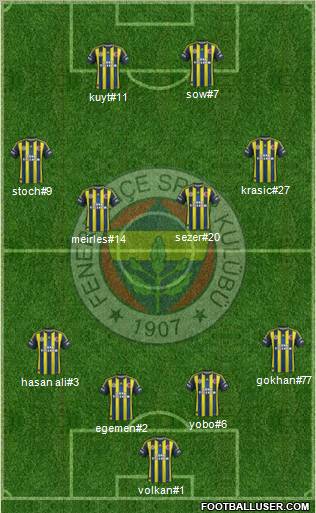 Fenerbahçe SK Formation 2013