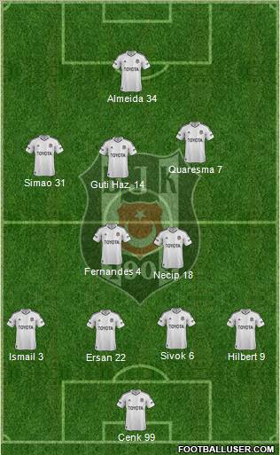 Besiktas JK Formation 2013