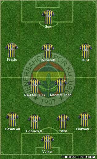 Fenerbahçe SK Formation 2013