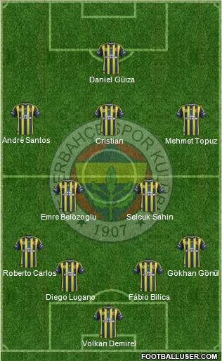 Fenerbahçe SK Formation 2013