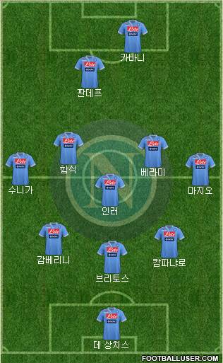 Napoli Formation 2013