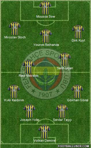 Fenerbahçe SK Formation 2013