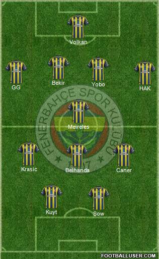 Fenerbahçe SK Formation 2013