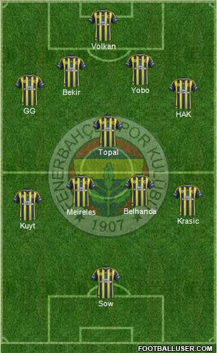 Fenerbahçe SK Formation 2013