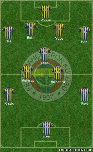 Fenerbahçe SK Formation 2013
