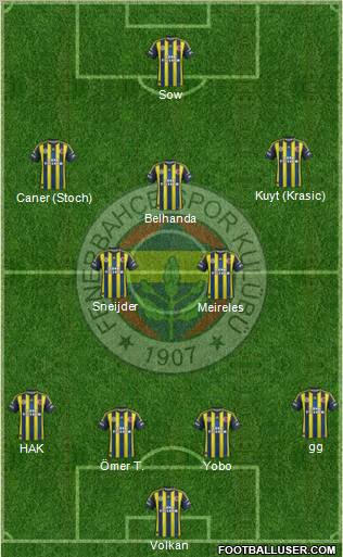 Fenerbahçe SK Formation 2013