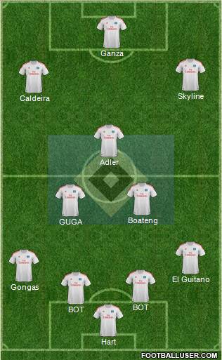 Hamburger SV Formation 2013