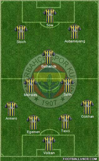 Fenerbahçe SK Formation 2013