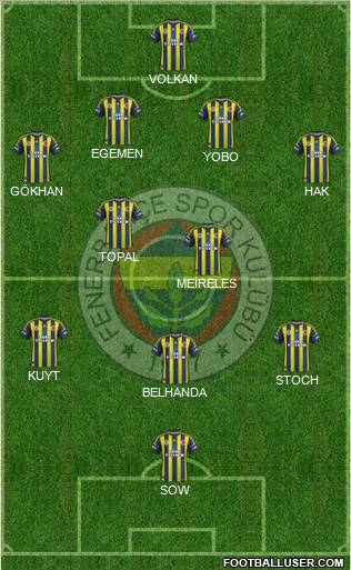 Fenerbahçe SK Formation 2013