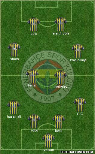 Fenerbahçe SK Formation 2013