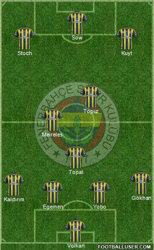 Fenerbahçe SK Formation 2013