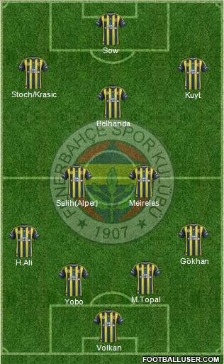Fenerbahçe SK Formation 2013