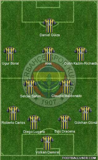 Fenerbahçe SK Formation 2013