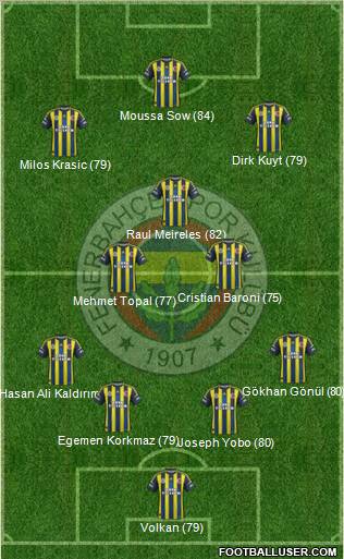 Fenerbahçe SK Formation 2013
