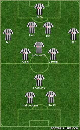 Newcastle United Formation 2013