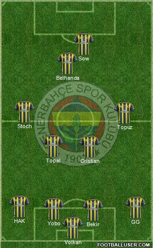 Fenerbahçe SK Formation 2013