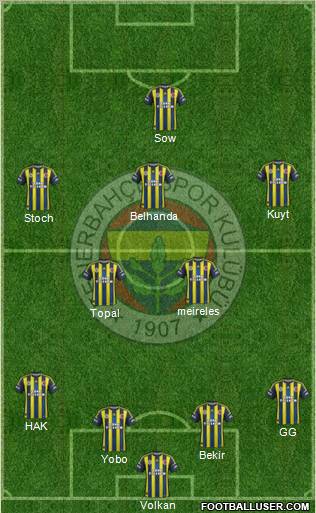 Fenerbahçe SK Formation 2013