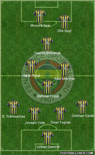 Fenerbahçe SK Formation 2013