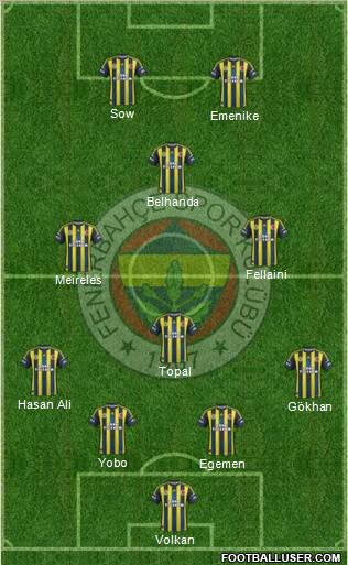 Fenerbahçe SK Formation 2013