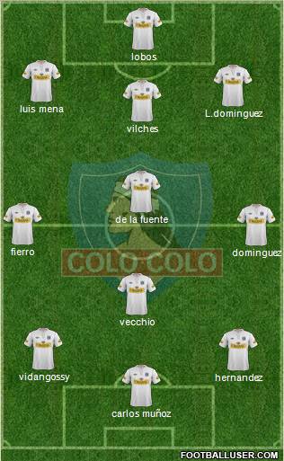 CSD Colo Colo Formation 2013