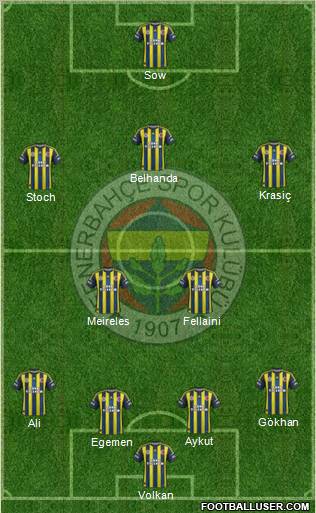 Fenerbahçe SK Formation 2013